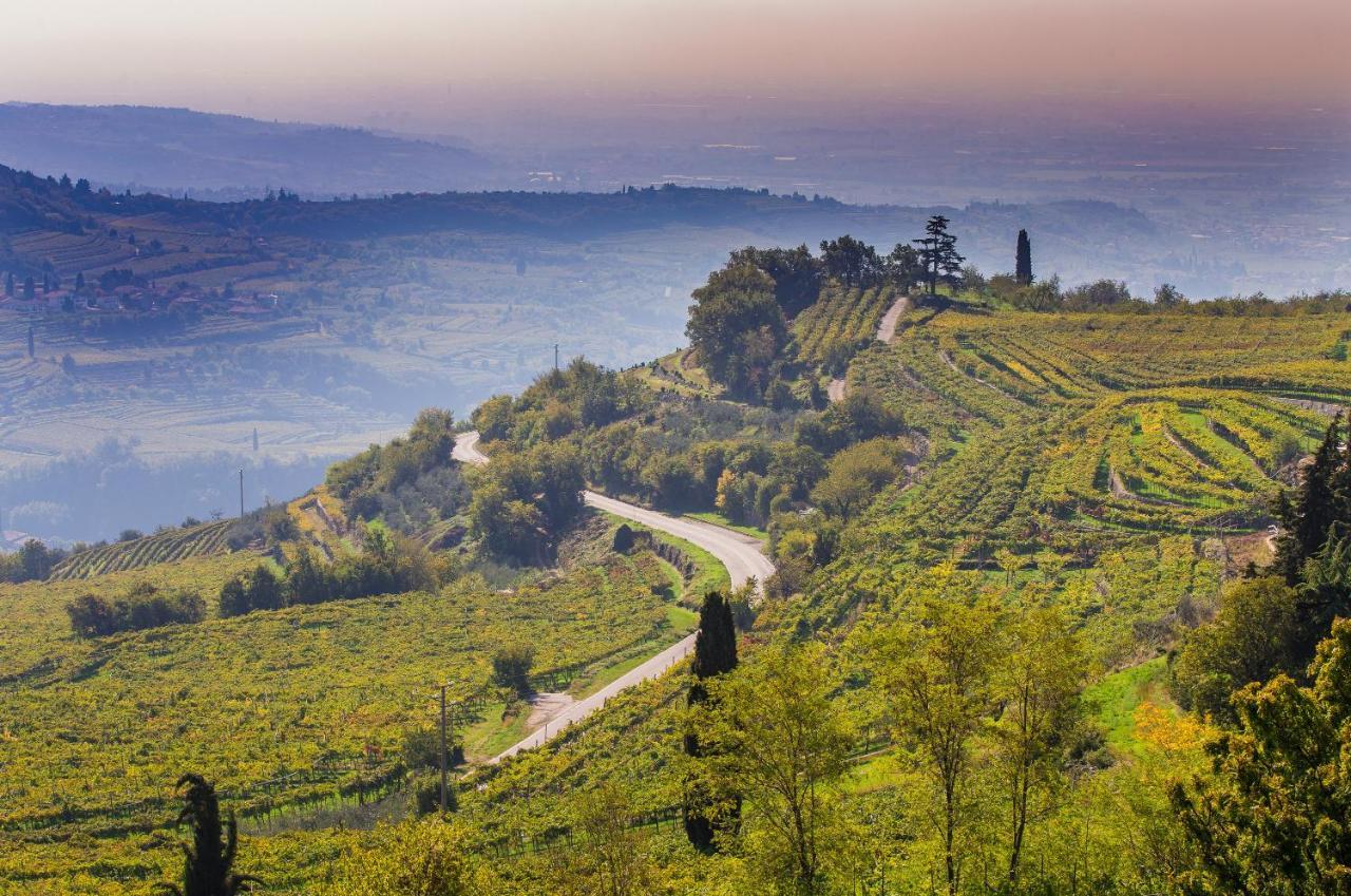 Valpolicella Homes Recioto Apartment SantʼAmbrogio di Valpolicella Εξωτερικό φωτογραφία