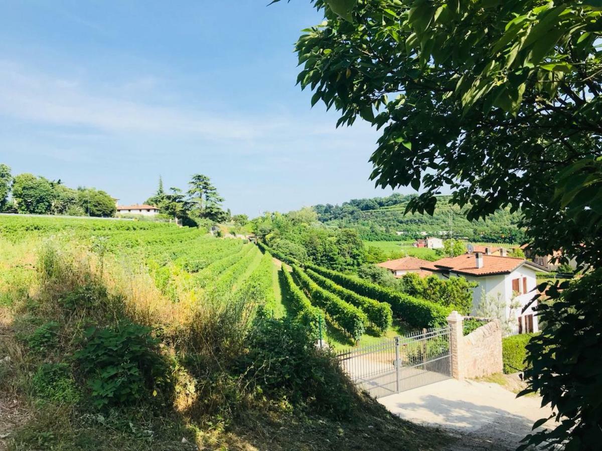 Valpolicella Homes Recioto Apartment SantʼAmbrogio di Valpolicella Εξωτερικό φωτογραφία