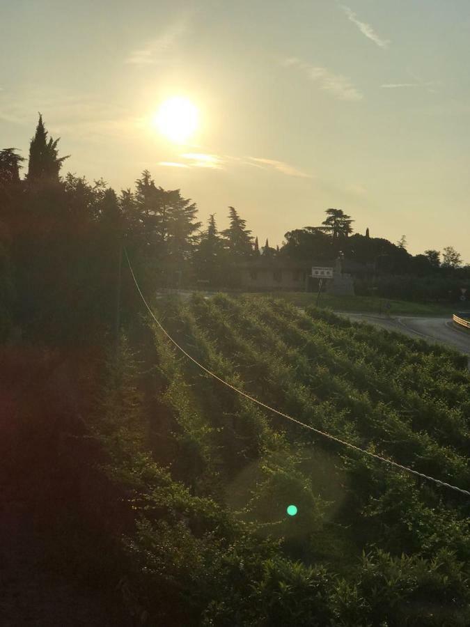 Valpolicella Homes Recioto Apartment SantʼAmbrogio di Valpolicella Εξωτερικό φωτογραφία